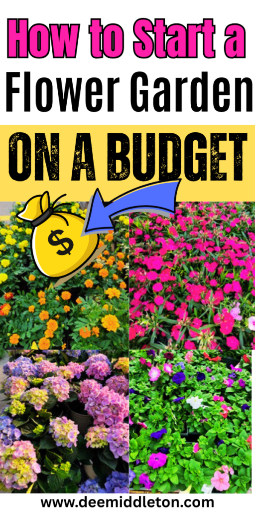 How to Start a Flower Garden on a Budget - Easy flower Garden For BeginnersBuilding A flower Garden On A BudgetHow To Start A Garden On A BudgetEasy Gardening For BeginnersCheap GardeningGardening On A BudgetGardens For BeginnersBudget-friendly Garden