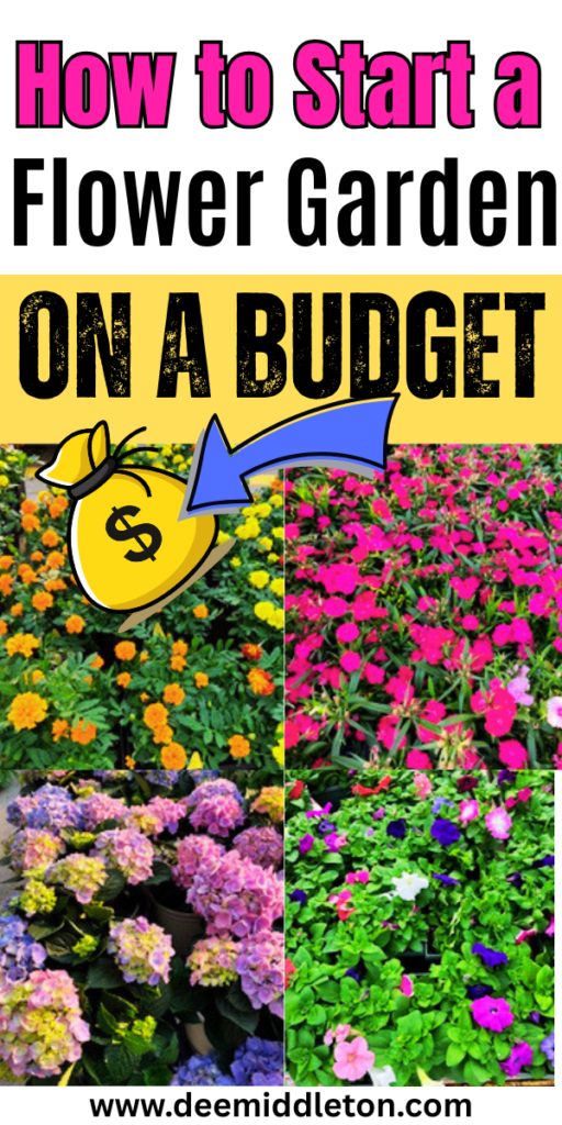 How to Start a Flower Garden on a Budget - Easy flower Garden For BeginnersBuilding A flower Garden On A BudgetHow To Start A Garden On A BudgetEasy Gardening For BeginnersCheap GardeningGardening On A BudgetGardens For BeginnersBudget-friendly Garden