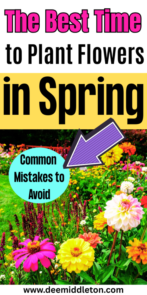 The Best Time to Plant Flowers in Spring - Flowers That Bloom All SummerFlowers That Come Back Every YearCut Flower Garden IdeasAnnual Flowers For Full SunWild Flower Garden IdeasSpring Flowers GardenSummer Flowers GardenEarly Spring FlowersPlanting Flowers In Garden