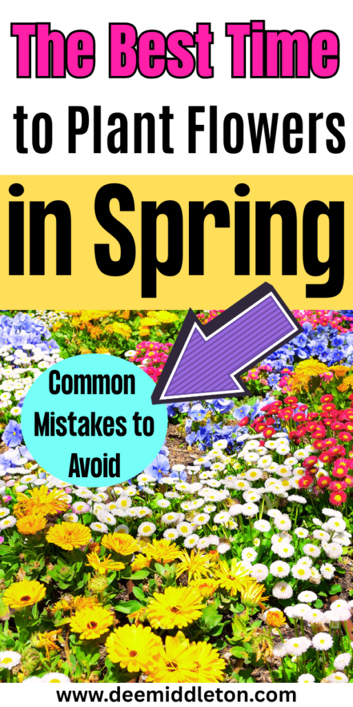 The Best Time to Plant Flowers in Spring - Flowers That Bloom All SummerFlowers That Come Back Every YearCut Flower Garden IdeasAnnual Flowers For Full SunWild Flower Garden IdeasSpring Flowers GardenSummer Flowers GardenEarly Spring FlowersPlanting Flowers In Garden