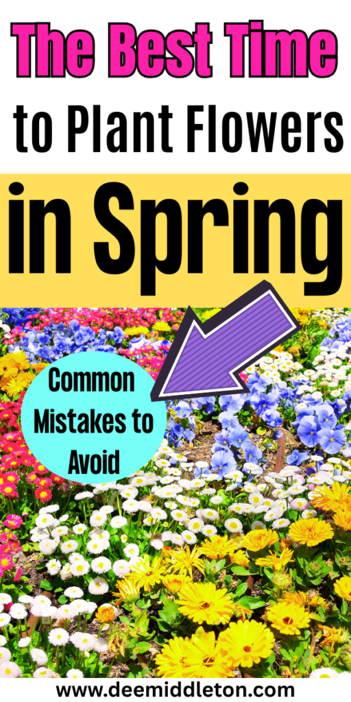 The Best Time to Plant Flowers in Spring - Flowers That Bloom All SummerFlowers That Come Back Every YearCut Flower Garden IdeasAnnual Flowers For Full SunWild Flower Garden IdeasSpring Flowers GardenSummer Flowers GardenEarly Spring FlowersPlanting Flowers In Garden