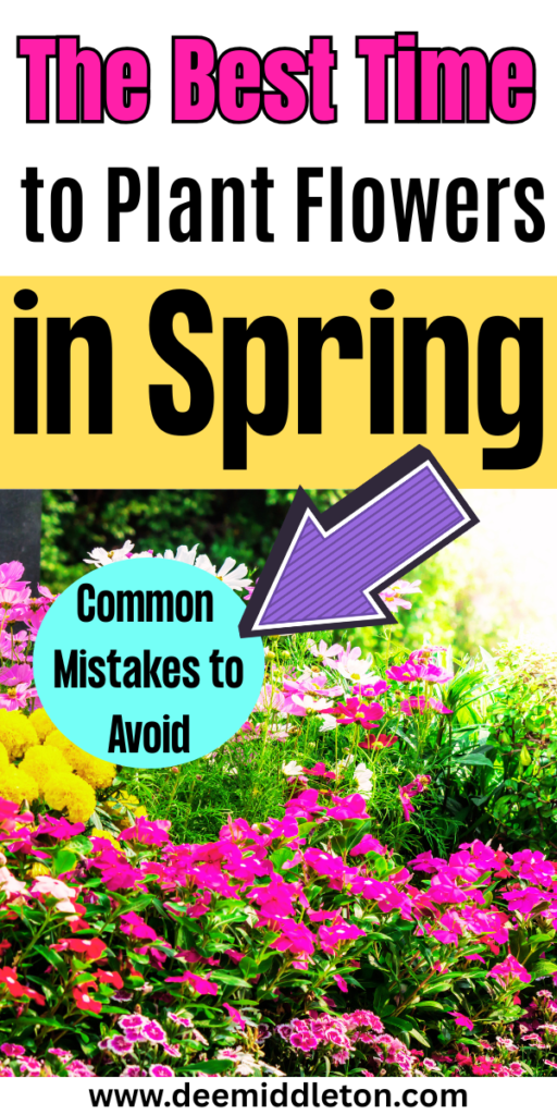 The Best Time to Plant Flowers in Spring - Flowers That Bloom All SummerFlowers That Come Back Every YearCut Flower Garden IdeasAnnual Flowers For Full SunWild Flower Garden IdeasSpring Flowers GardenSummer Flowers GardenEarly Spring FlowersPlanting Flowers In Garden