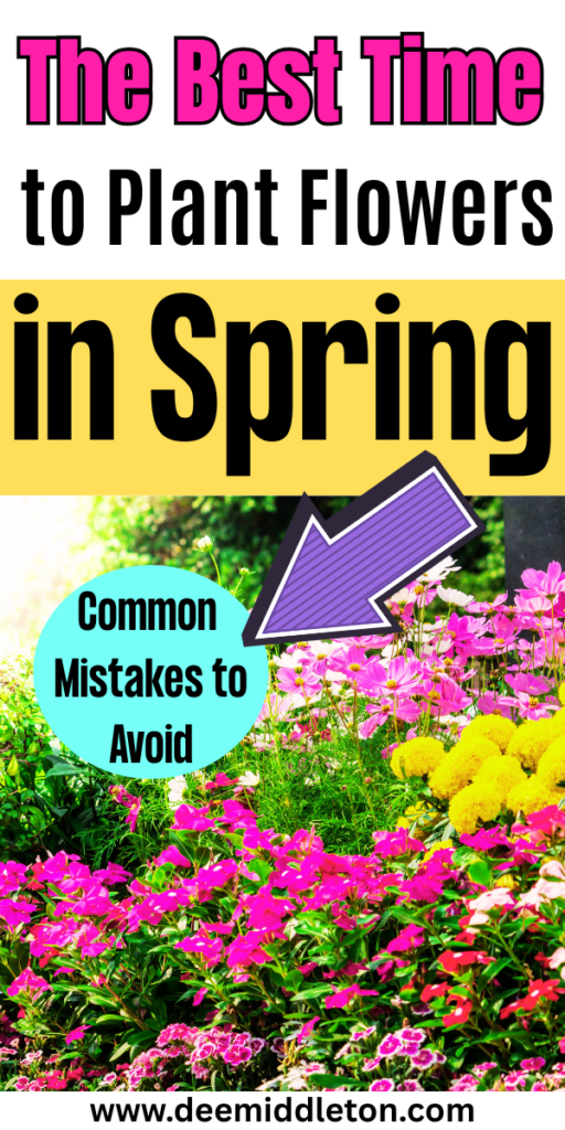 The Best Time to Plant Flowers in Spring - Flowers That Bloom All SummerFlowers That Come Back Every YearCut Flower Garden IdeasAnnual Flowers For Full SunWild Flower Garden IdeasSpring Flowers GardenSummer Flowers GardenEarly Spring FlowersPlanting Flowers In Garden