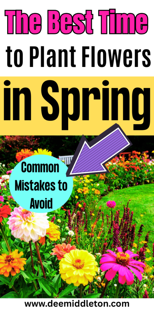 The Best Time to Plant Flowers in Spring - Flowers That Bloom All SummerFlowers That Come Back Every YearCut Flower Garden IdeasAnnual Flowers For Full SunWild Flower Garden IdeasSpring Flowers GardenSummer Flowers GardenEarly Spring FlowersPlanting Flowers In Garden