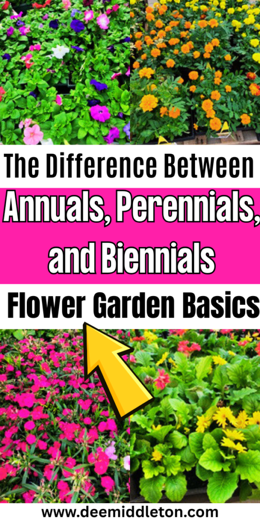 The Difference Between Annuals, Perennials, and Biennials: Flower Garden Basics - Flowering Vs Non Flowering PlantsAlternation Of Generations In Flowering PlantsAnnual Plant Growth ChartColorful Plant Selection GuideAnnual Vs Perennial FlowersPerennials Vs AnnualsAnnual Vs PerennialFlowering Plants