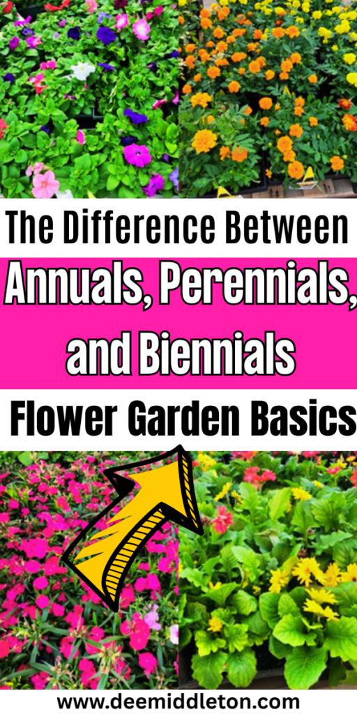 The Difference Between Annuals, Perennials, and Biennials: Flower Garden Basics - Flowering Vs Non Flowering PlantsAlternation Of Generations In Flowering PlantsAnnual Plant Growth ChartColorful Plant Selection GuideAnnual Vs Perennial FlowersPerennials Vs AnnualsAnnual Vs PerennialFlowering Plants