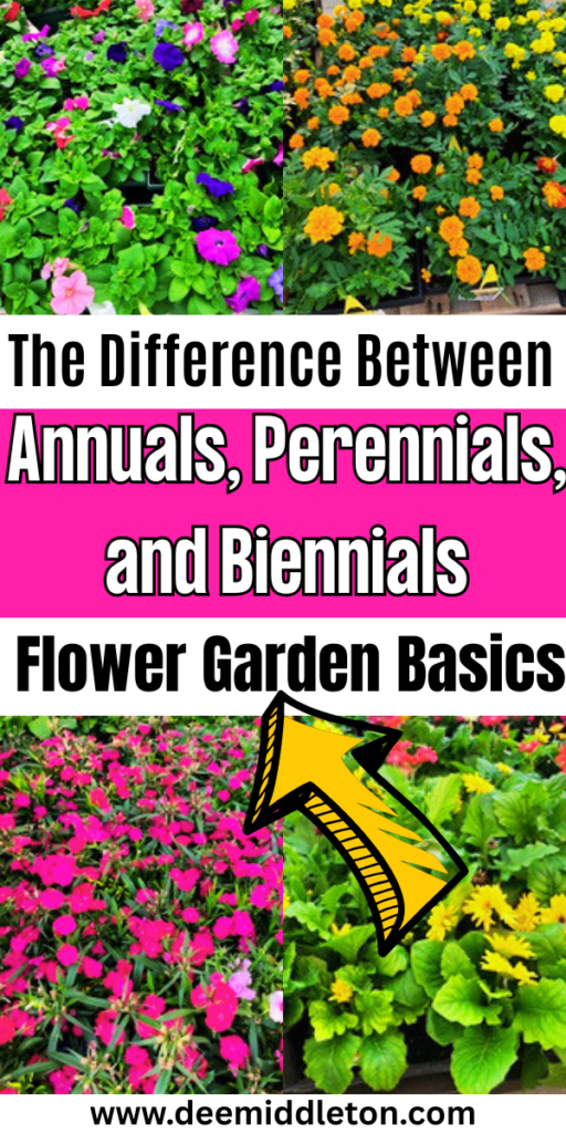 The Difference Between Annuals, Perennials, and Biennials: Flower Garden Basics - Flowering Vs Non Flowering PlantsAlternation Of Generations In Flowering PlantsAnnual Plant Growth ChartColorful Plant Selection GuideAnnual Vs Perennial FlowersPerennials Vs AnnualsAnnual Vs PerennialFlowering Plants