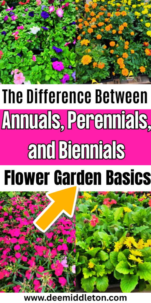 The Difference Between Annuals, Perennials, and Biennials: Flower Garden Basics - Flowering Vs Non Flowering PlantsAlternation Of Generations In Flowering PlantsAnnual Plant Growth ChartColorful Plant Selection GuideAnnual Vs Perennial FlowersPerennials Vs AnnualsAnnual Vs PerennialFlowering Plants