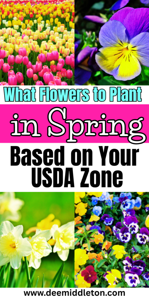 What Flowers to Plant in Spring (Based on Your USDA Zone) - Flowers To Plant In SpringFast GrowingSpring Is HereSpring FlowersPlantsFlowersFlower Growth StagesBest Plants To Plant In SpringGood Flower CombinationsFlowers To Plant In GardenSpring Flower Garden IdeasBest Seeds To Start IndoorsBest Flowers To Plant In SpringFlowers To Start IndoorsCool Season Flowers