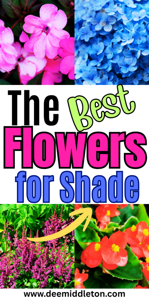 The Best Flowers for Shade - Lawn PlantsShaded Gardens IdeasSmall Shade GardensPlants In Shaded AreasPart Sun Garden IdeasPart Shade Garden IdeasShaded Flower BedShady Garden Ideas LandscapesLandscaping In Shaded Areas
