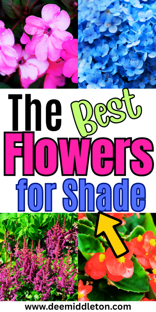 The Best Flowers for Shade - Lawn PlantsShaded Gardens IdeasSmall Shade GardensPlants In Shaded AreasPart Sun Garden IdeasPart Shade Garden IdeasShaded Flower BedShady Garden Ideas LandscapesLandscaping In Shaded Areas
